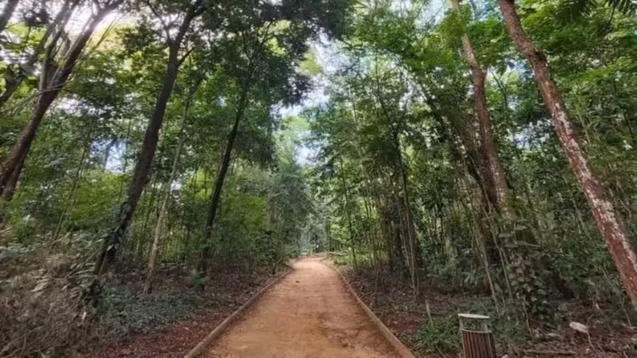 Cinco parques gratuitos para visitar na Bahia