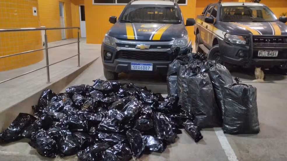 Foto PRF apreende mais de 100 quilos de maconha na BR-324 em Simões Filho