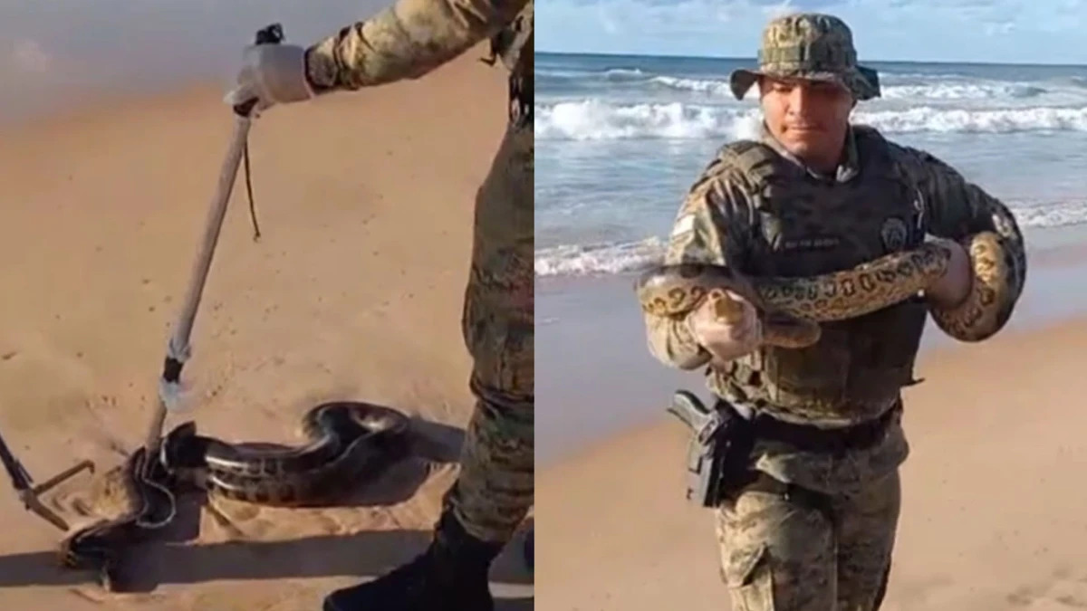policial segurando cobra resgatada
