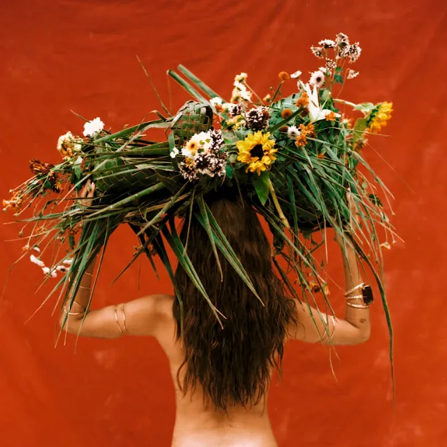 Divulga&ccedil;&atilde;o