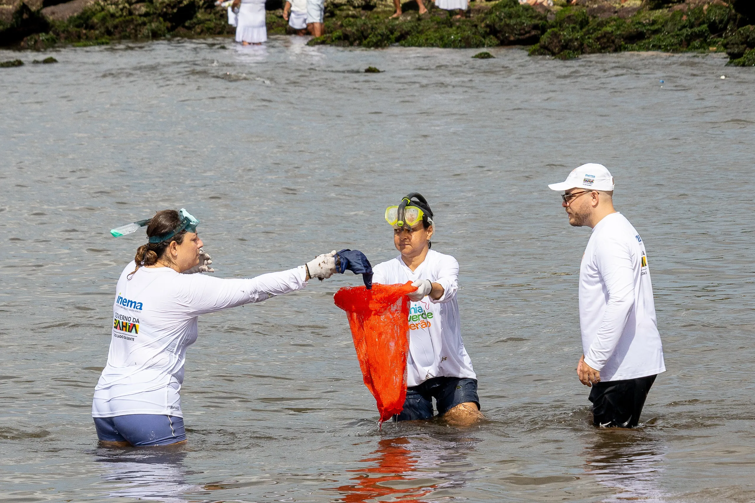 Whats App Image 2026 02 01 at 18.59.10 (1)