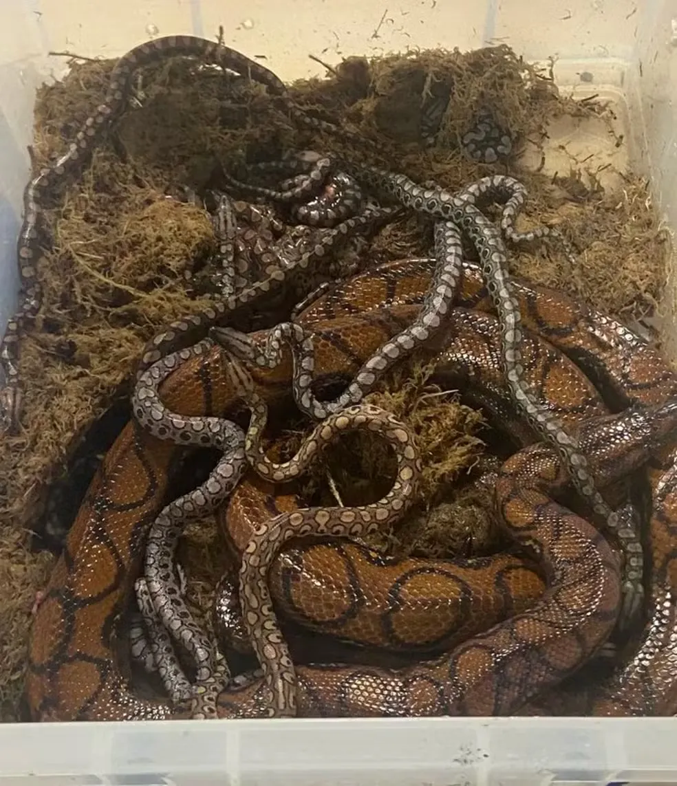 Divulga&ccedil;&atilde;o/City of Portsmouth College