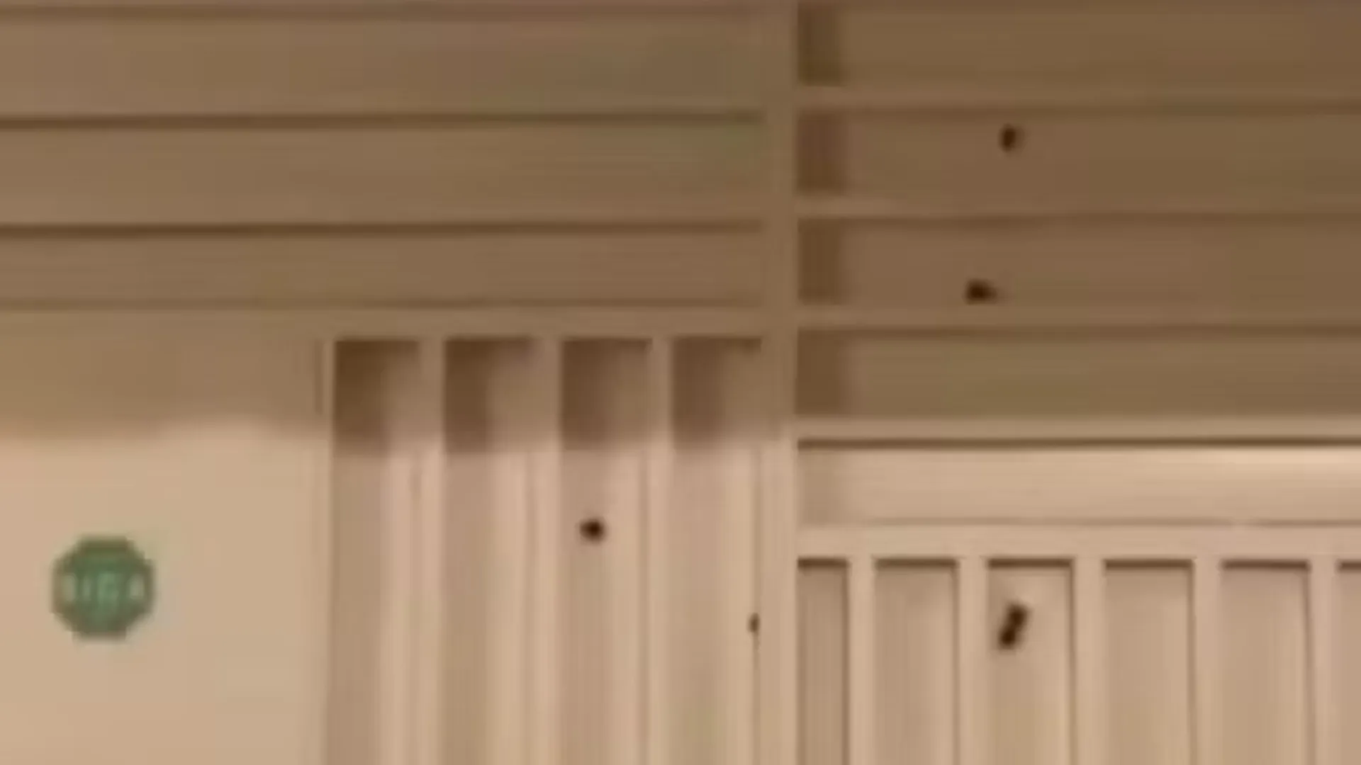 Reprodu&ccedil;&atilde;o/Redes Sociais