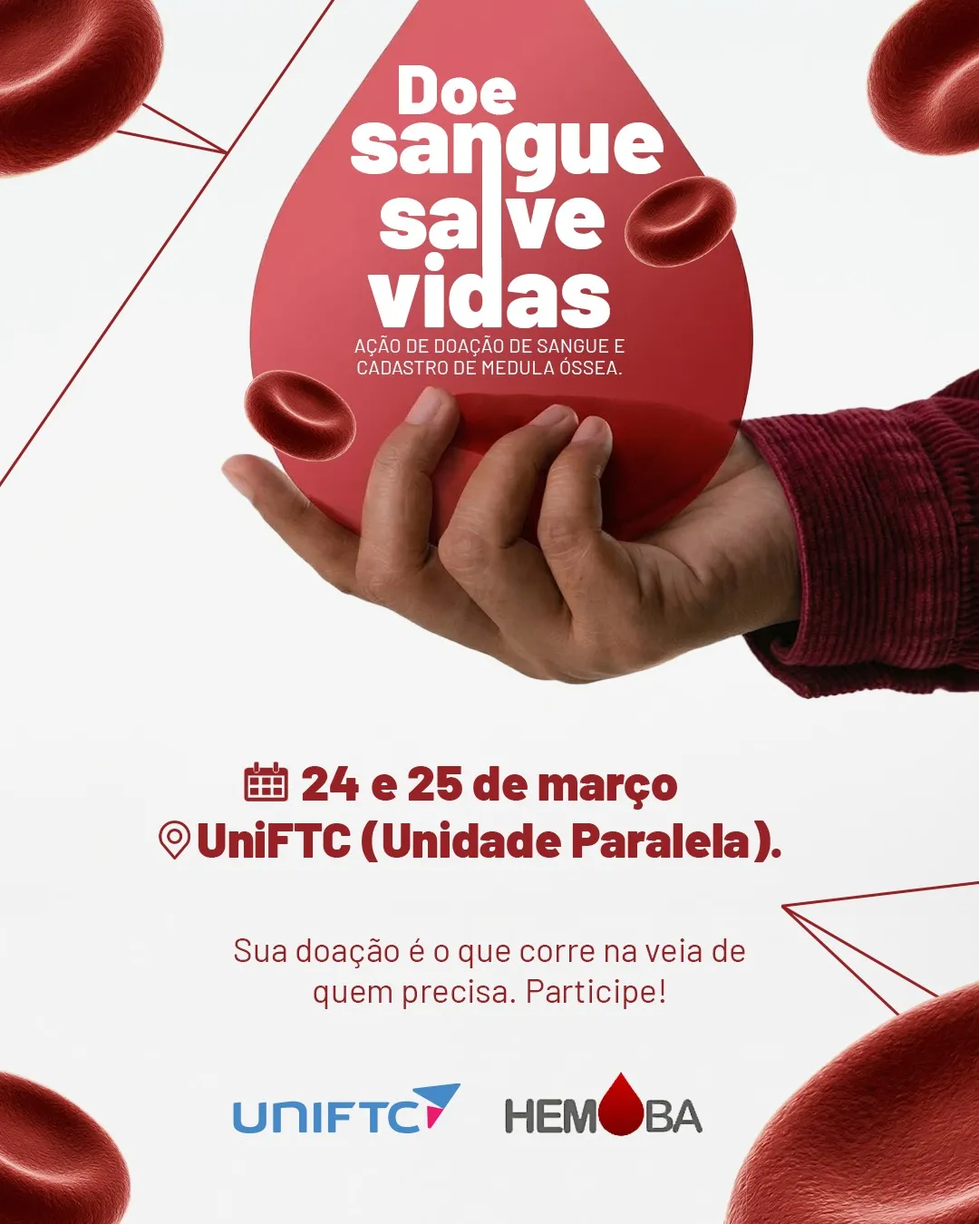 Divulga&ccedil;&atilde;o