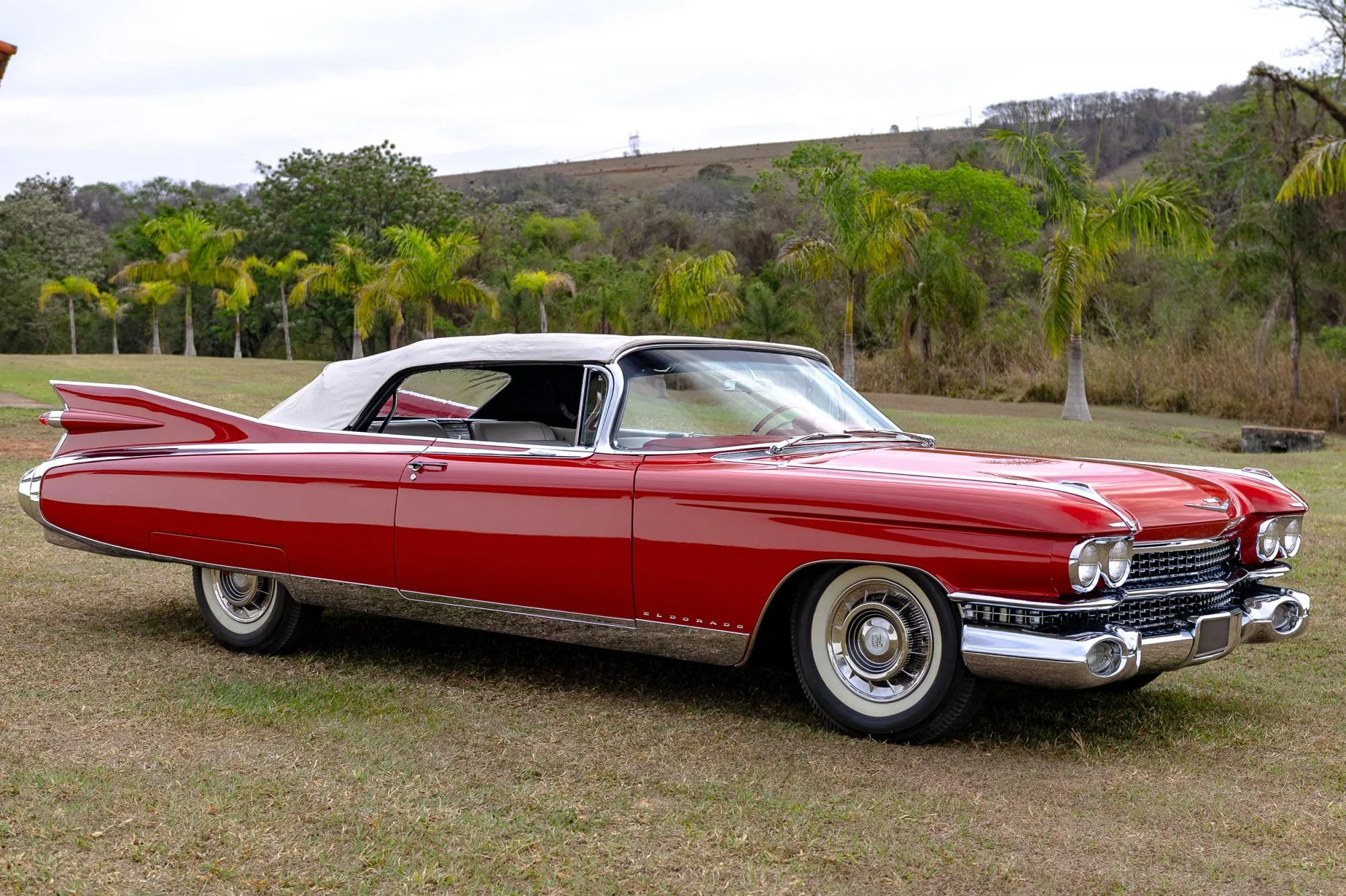 Foto: Reprodução/ArtMG Leilões