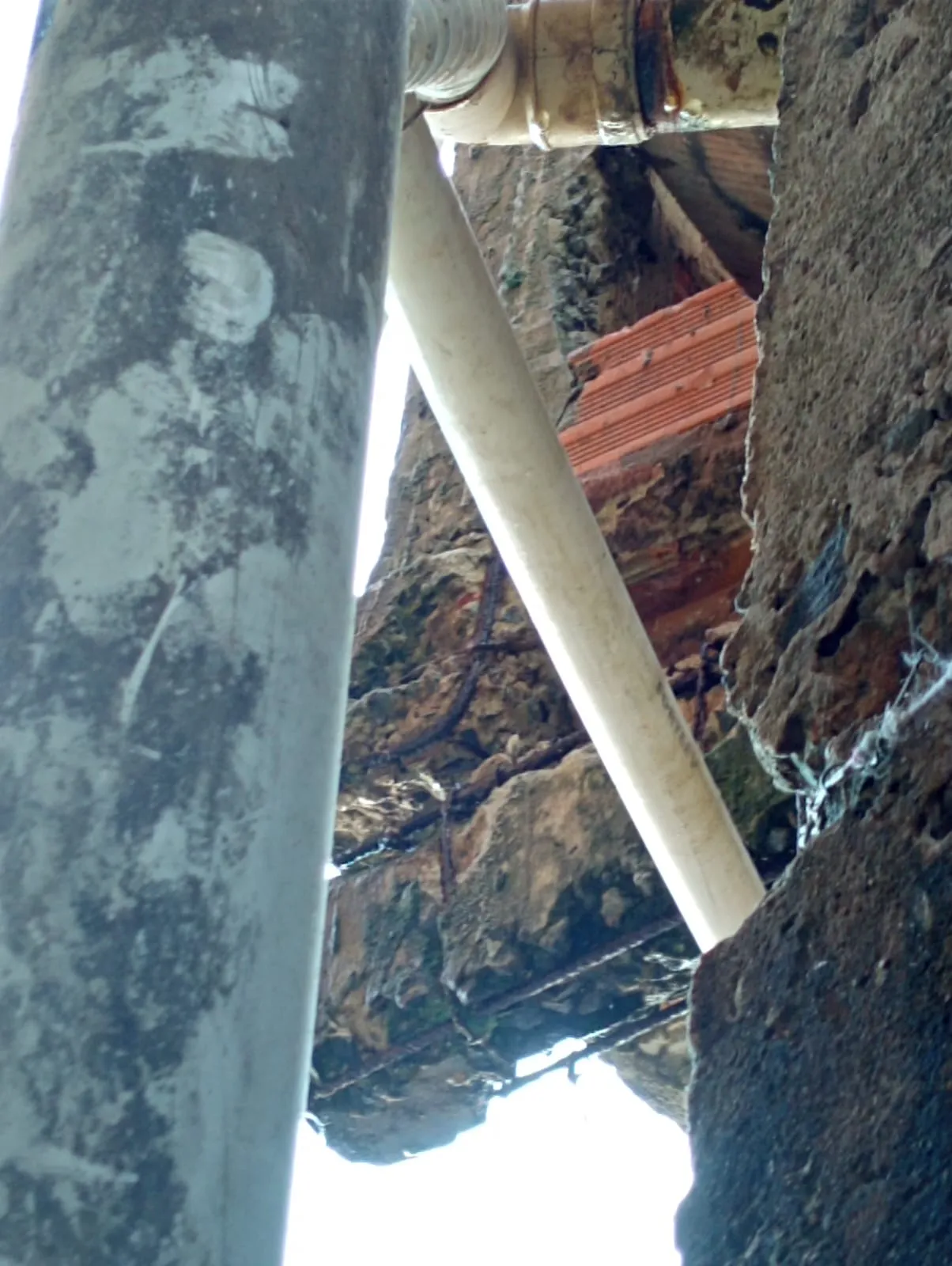 Acervo Pessoal / Felipe Martiniano