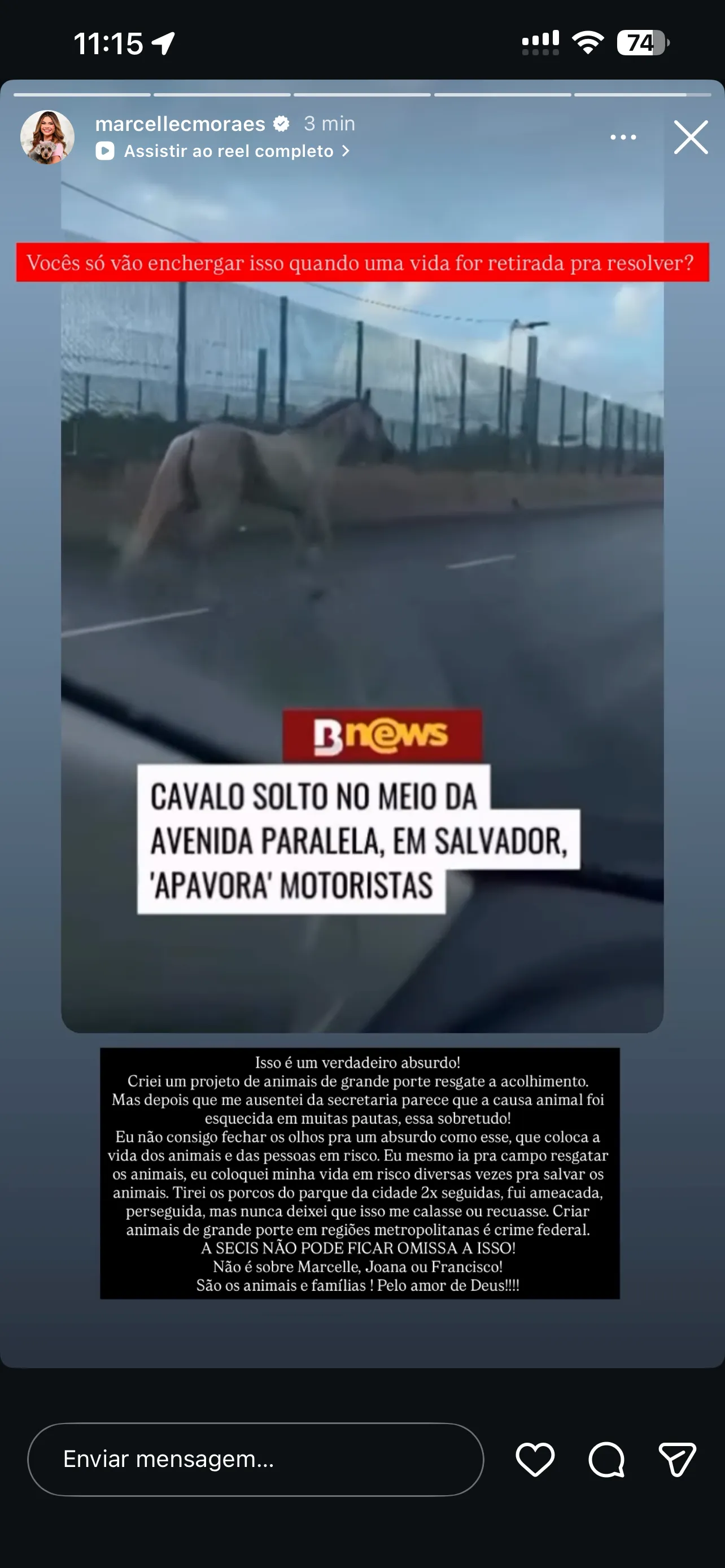 Reprodu&ccedil;&atilde;o / Instagram @marcellecmoraes