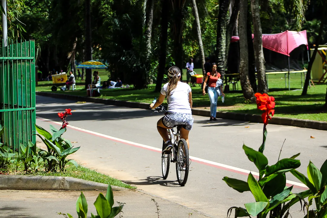 Amanda Oliveira / Salvador da Bahia