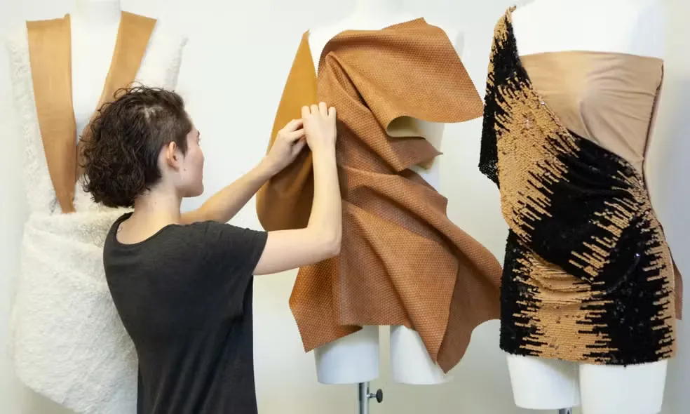 Divulga&ccedil;&atilde;o/Acervo ISPC