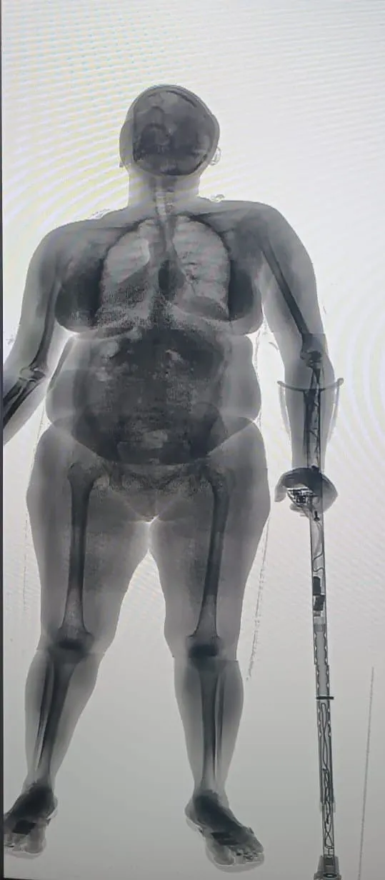 Divulga&ccedil;&atilde;o / SEAP