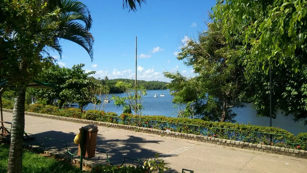 Reprodução / TripAdvisor