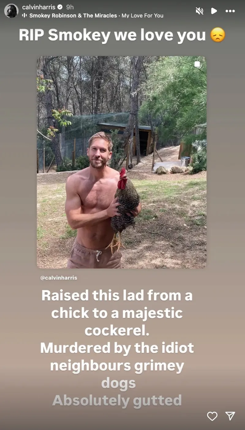 Foto: Reprodução/Instagram @calvinharris