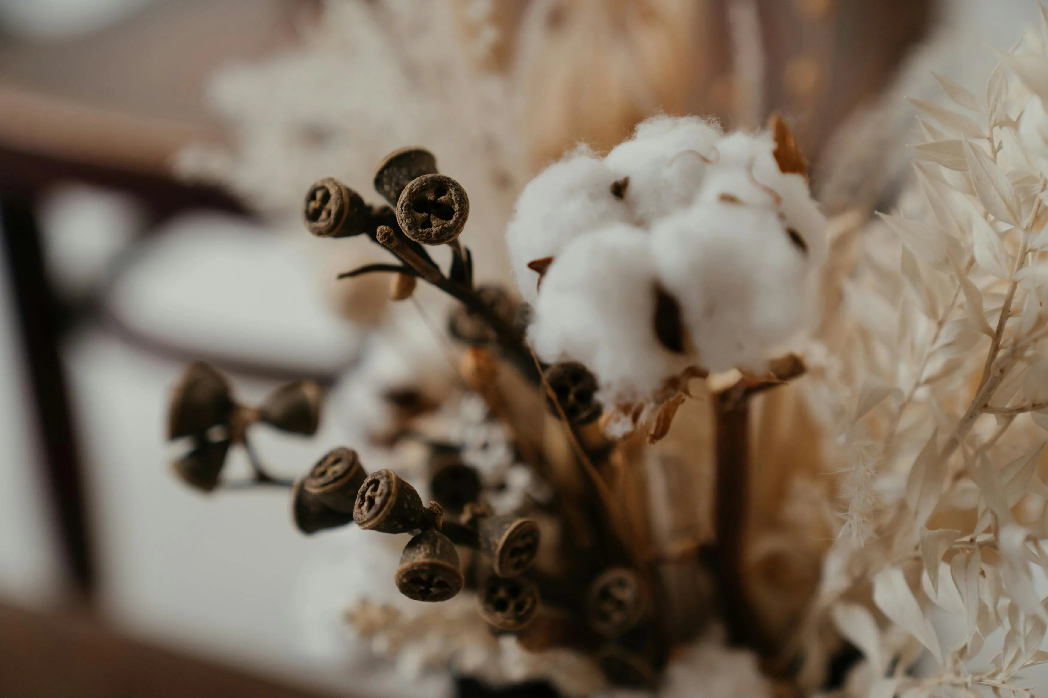 Foto: cottonbro studio / Pexels