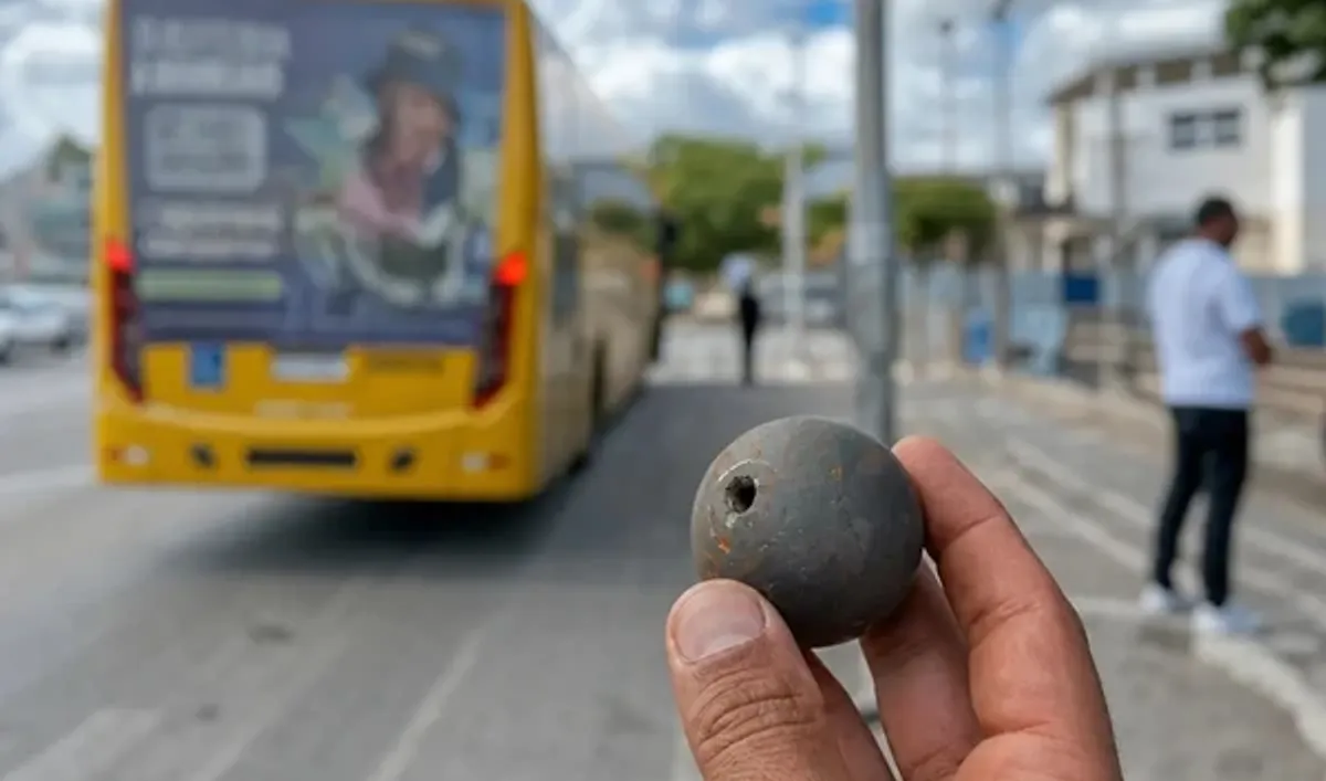 Divulga&ccedil;&atilde;o/ Semob