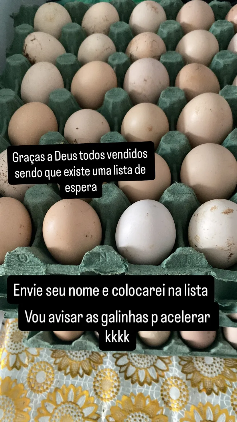 Reprodu&ccedil;&atilde;o / Redes Sociais