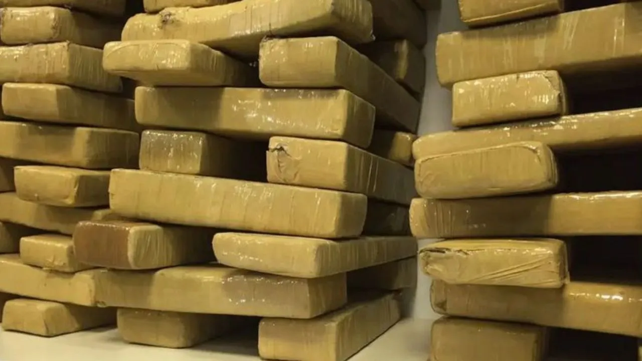 Ilustrativa: Flavia Vilela/Ag&ecirc;ncia Brasil